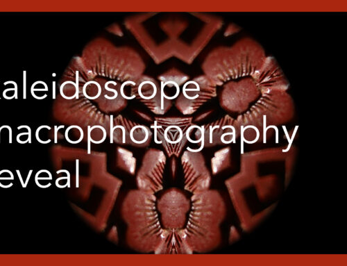Kaleidoscope Macrophotography Reveal